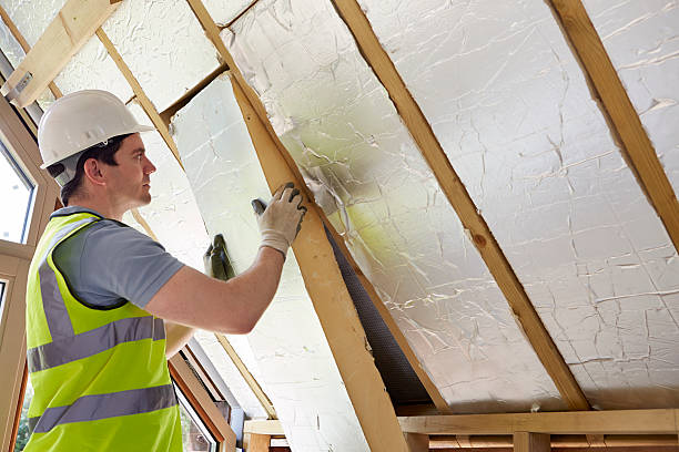 Best Insulation Maintenance and Repair in Walthourville, GA